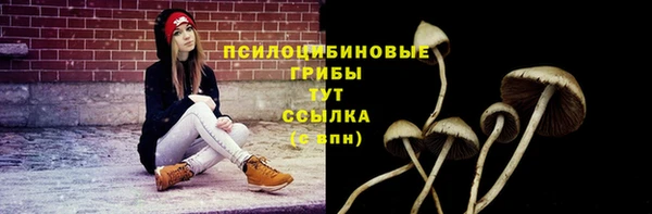амф Абинск