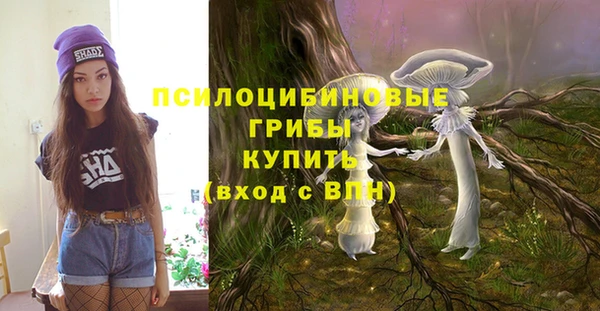 не бодяженный Абаза