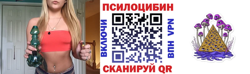 купить наркотик Моршанск МЕГА онион Псилоцибиновые грибы Psilocybine cubensis