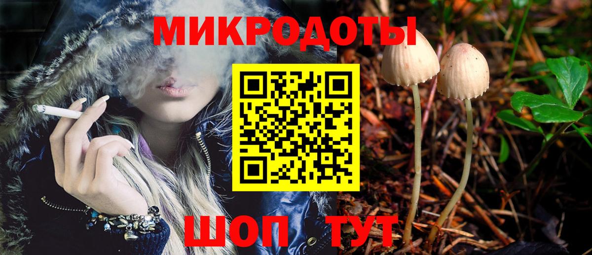 Псилоцибиновые грибы прущие грибы Моршанск
