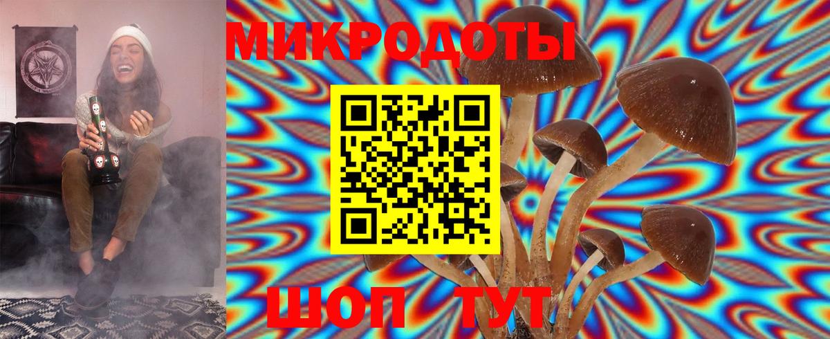 Псилоцибиновые грибы ЛСД  Вход с VPN  купить  цена  Моршанск 